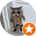 Raccoon profile picture Raccoon profile picture